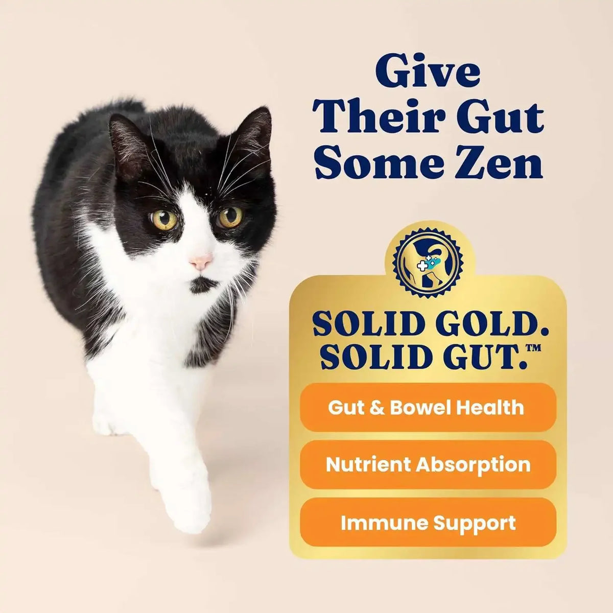Premium High Protein Dry Cat Food Grain Free Gluten Free Nutritional Kibble with Omega 3 Fatty Acids Healthy Feline Diet Pet Nutrition Complete Balanced Daily Feed for Adult Cats Kittens Pet Care Supplies