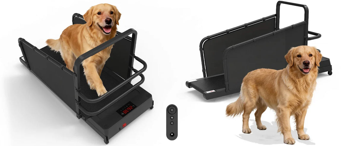 Dog Treadmill for Large Dogs, Adjustable Speed 1-8km/h Pet Running Machine with LED Display, Quiet Indoor Dog Exercise Equipment for Home Training, Track Time Distance Calories Burned