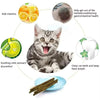 Cat Mint Chew Sticks - 6 Pack