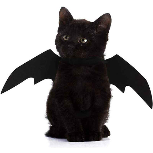 Halloween Bat Wings for Pets