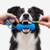 Dental Chew Toy for Dogs