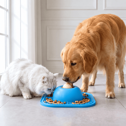 A golden retriever and a white cat eat from a blue slow feeder bowl placed on a light tile floor in a bright indoor room.