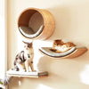 Modular Solid Wood Cat Shelves