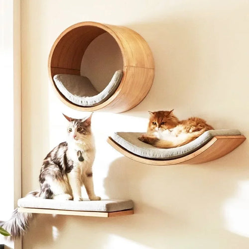Modular Solid Wood Cat Shelves