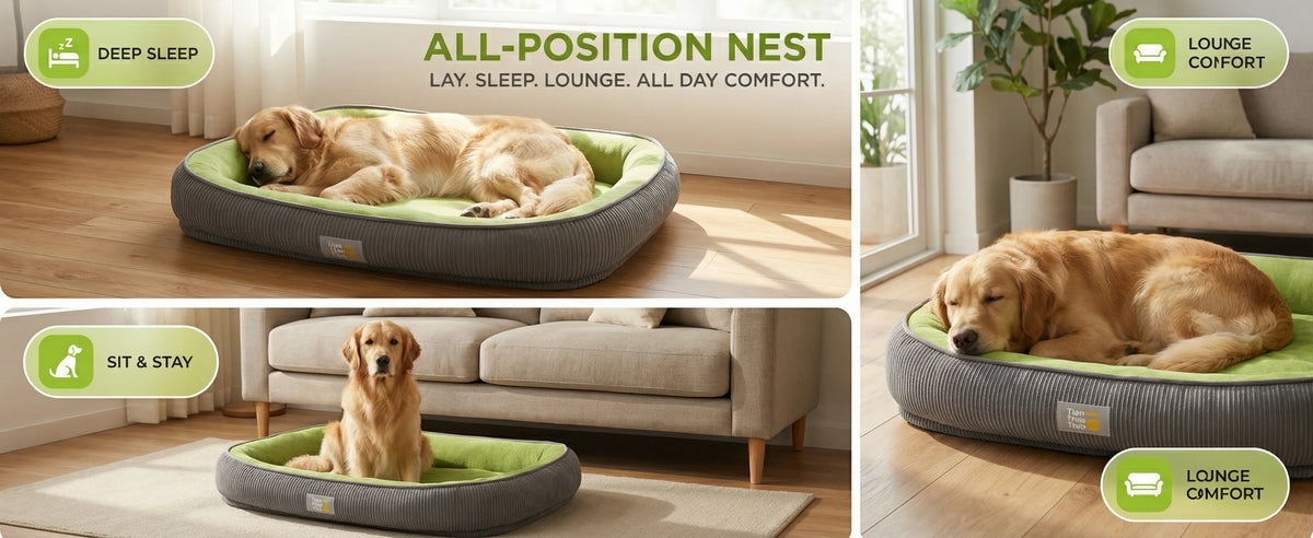 Dog Bed Small Dog Large Pet Beds Cats Dogs Puppy Accessories Breeds Blanket Baskets Big Cushion Pets Products Accessory Mat