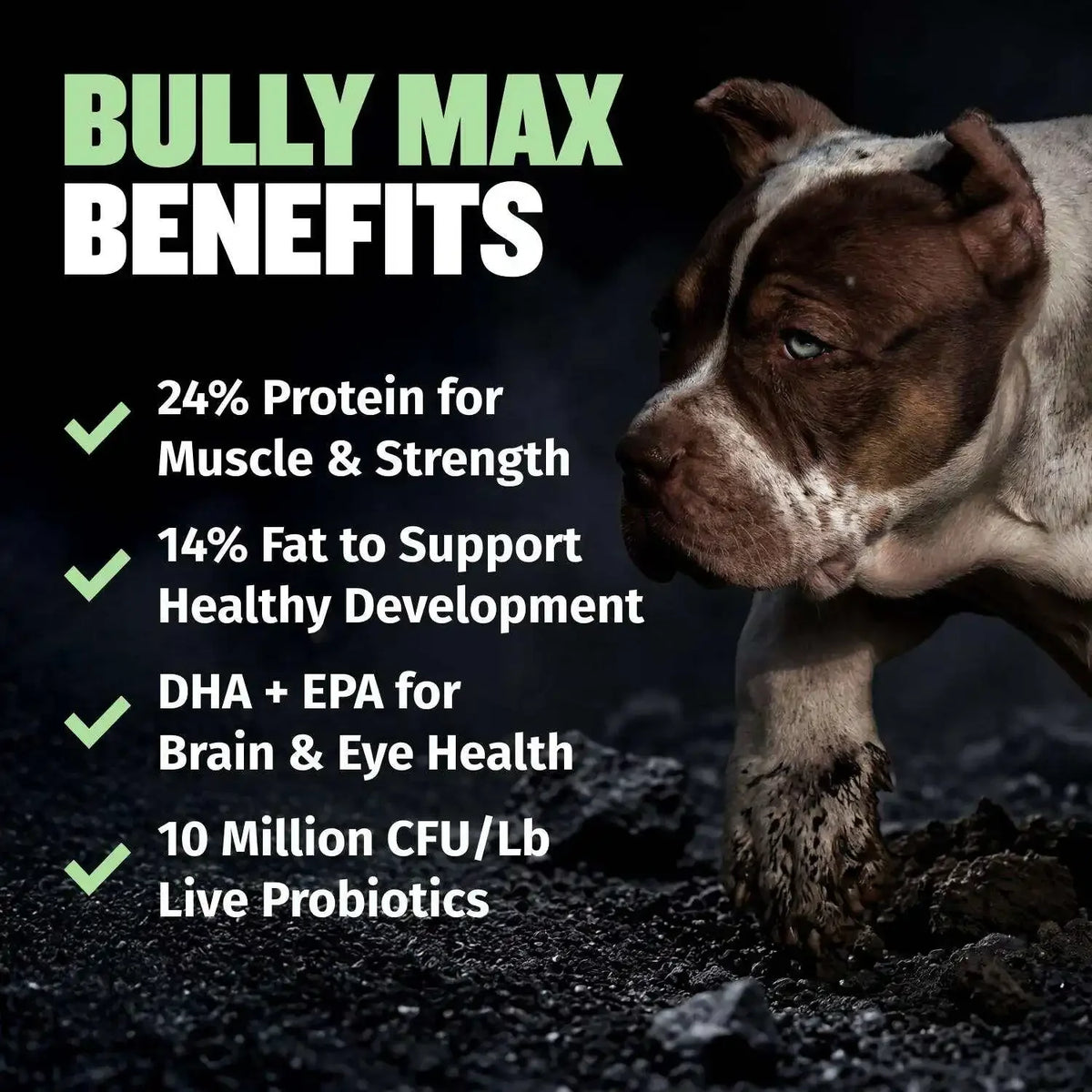 High Protein Premium Puppy Food 5 lbs Dry Dog Food Growth Formula High Energy 390 Calories Immune Support Nutrition with Taurine Biotin Tapioca Essential Vitamins Complete Diet For All Dog Breeds Pet Supplies