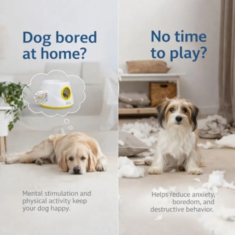 Snout & Pounce™ Automatic Ball Launcher