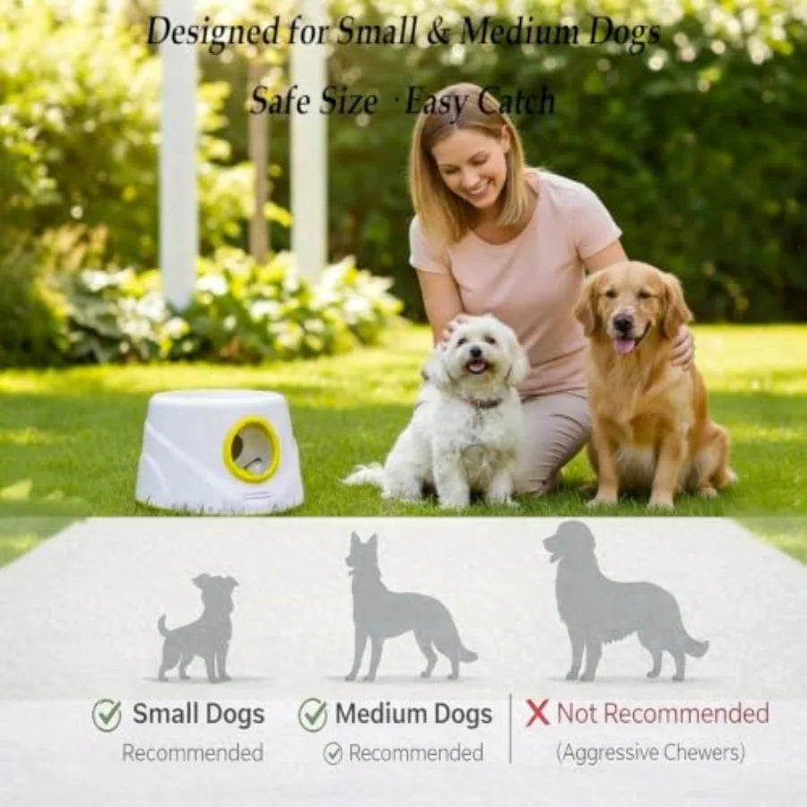 Snout & Pounce™ Automatic Ball Launcher