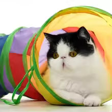 Snout & Pounce™ Foldable Cat Tunnel