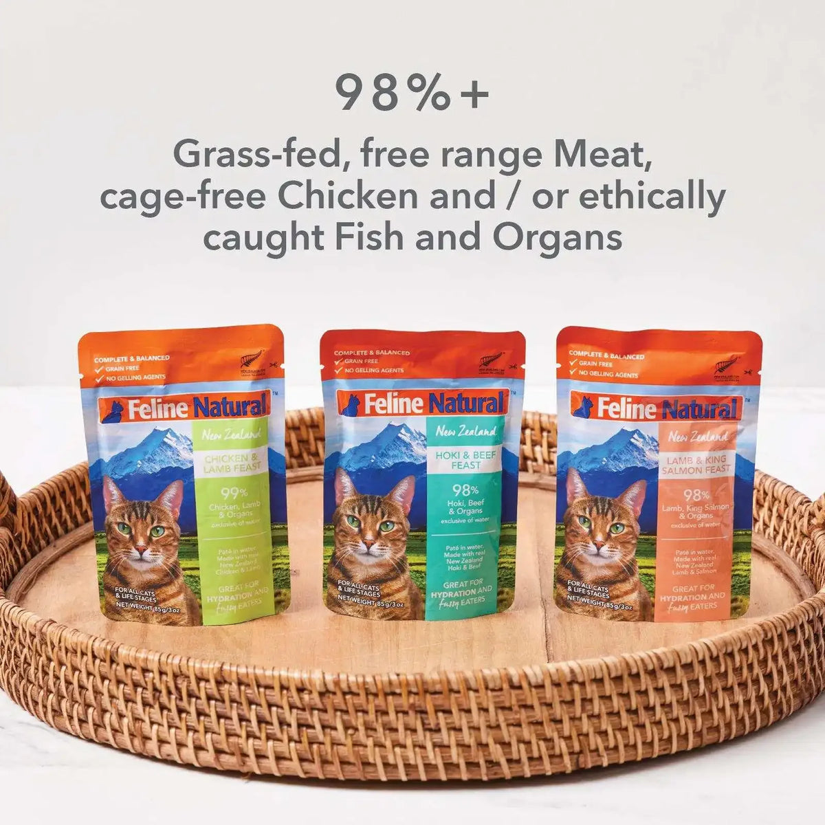 Grain-Free Wet Cat Food Pâté Pouches 12-Pack 3oz Salmon Beef Chicken Variety Single Serve Pet Food Treats High Palatability Hydrating Meal with Sunflower Oil Dried Kelp Daily Nutrition Cat Supplies