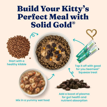 Premium High Protein Dry Cat Food Grain Free Gluten Free Nutritional Kibble with Omega 3 Fatty Acids Healthy Feline Diet Pet Nutrition Complete Balanced Daily Feed for Adult Cats Kittens Pet Care Supplies