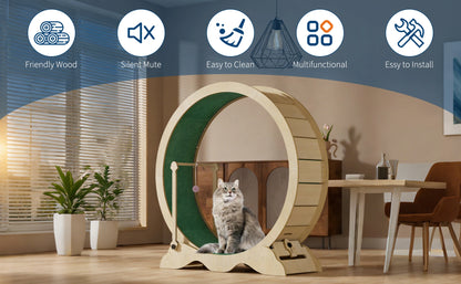 Quiet Cat Exercise Wheel for Indoor Cats – Large 43-48 Inch Cat Treadmill – Sturdy, Detachable Carpet, Supports Fitness and Training – Ideal for Living Room or Bedroom