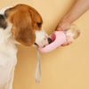Portable Pet Water Bottle - 3 Sizes
