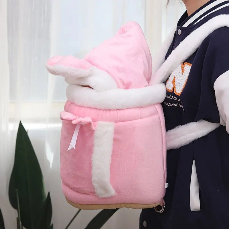Cat Bag Winter Warm Cat Outing Bag Carrying Bag Large Capacity Crossbody Pet Bag Princess Style