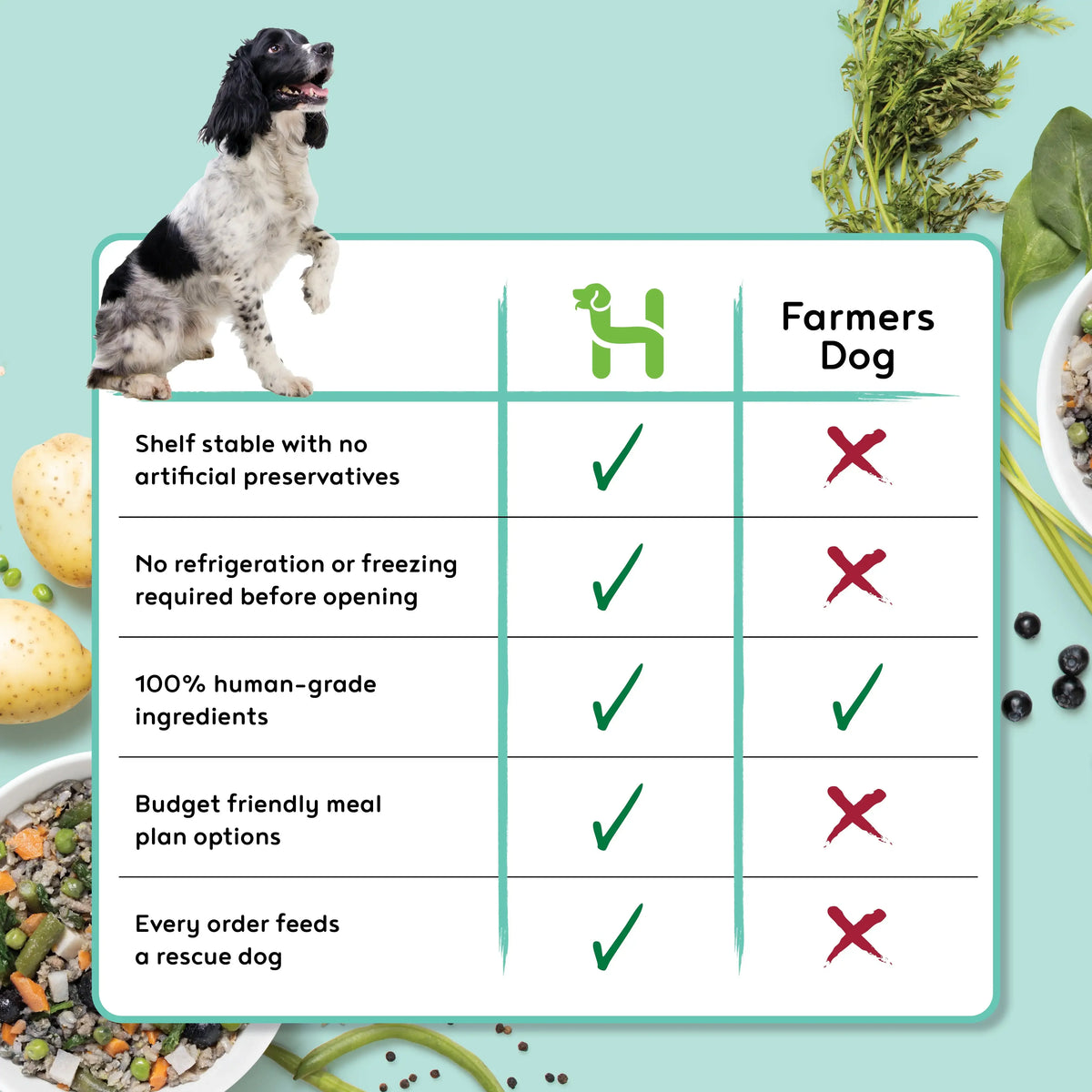 Premium Wet Dog Food Variety Sample Pack Real Meat Lamb Turkey Beef Mixed Flavors 100% Human Grade Ingredients Natural Healthy Pet Nutrition Meal Topper for All Life Stages Puppy Adult