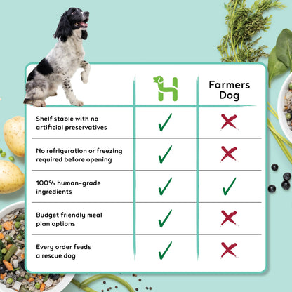 Premium Wet Dog Food Variety Sample Pack Real Meat Lamb Turkey Beef Mixed Flavors 100% Human Grade Ingredients Natural Healthy Pet Nutrition Meal Topper for All Life Stages Puppy Adult
