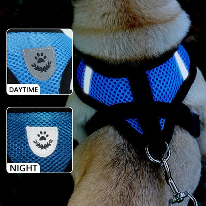 Snout & Pounce™ Reflective Pet Harness