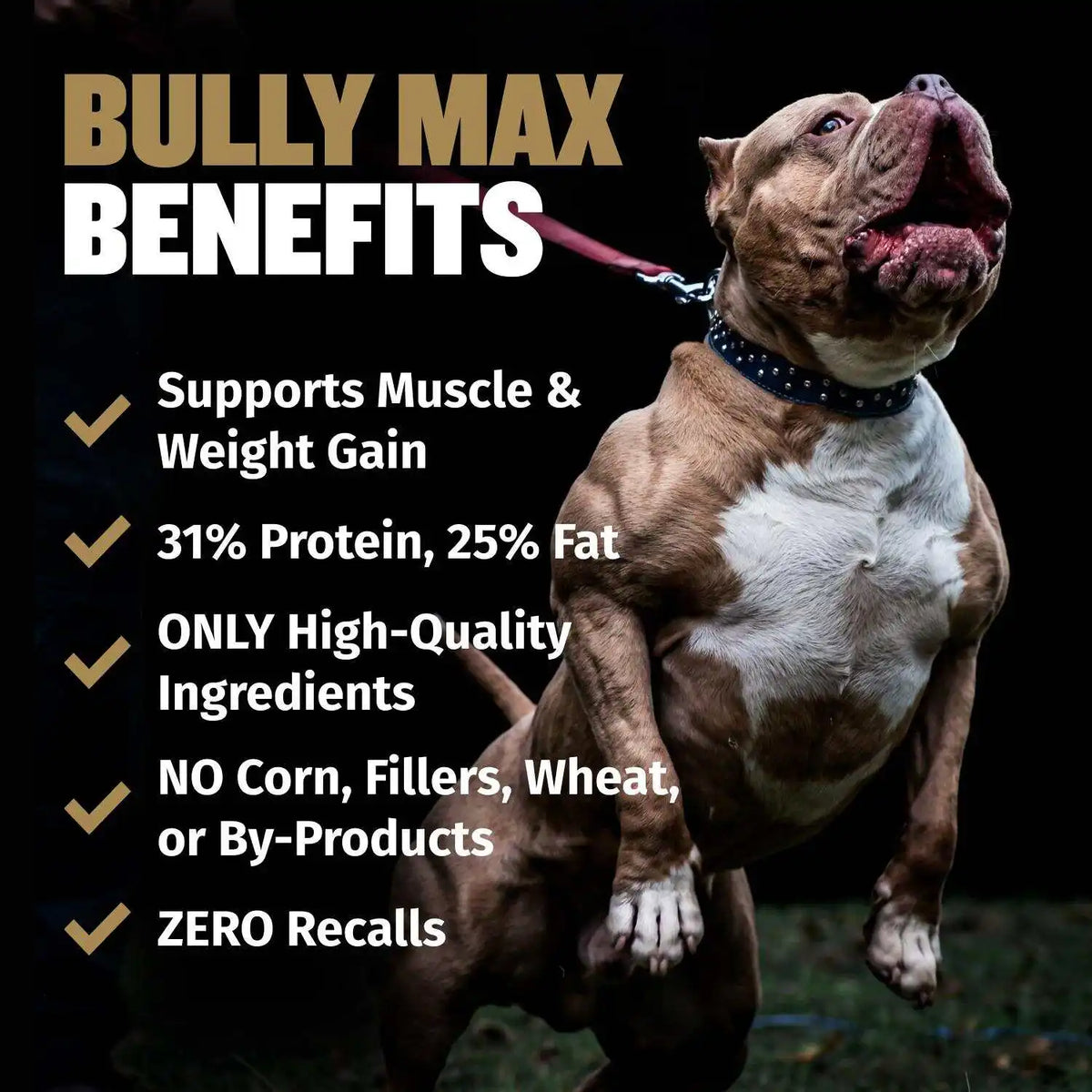 Premium High Calorie Dry Dog Food Chicken Kibble for Weight Gain & Muscle Building 4 lbs All Natural Pet Nutrition with Gut Health Probiotics 31/25 High Protein 600 Calories/Cup Daily Food for Active Dogs