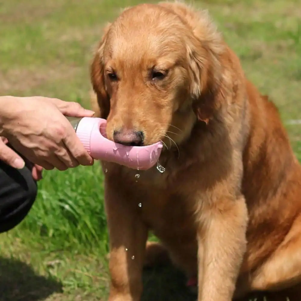 Snout & Pounce™ 3-in-1 Travel Water Bottle