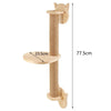 Modular Solid Wood Cat Shelves