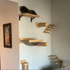 Modular Solid Wood Cat Shelves