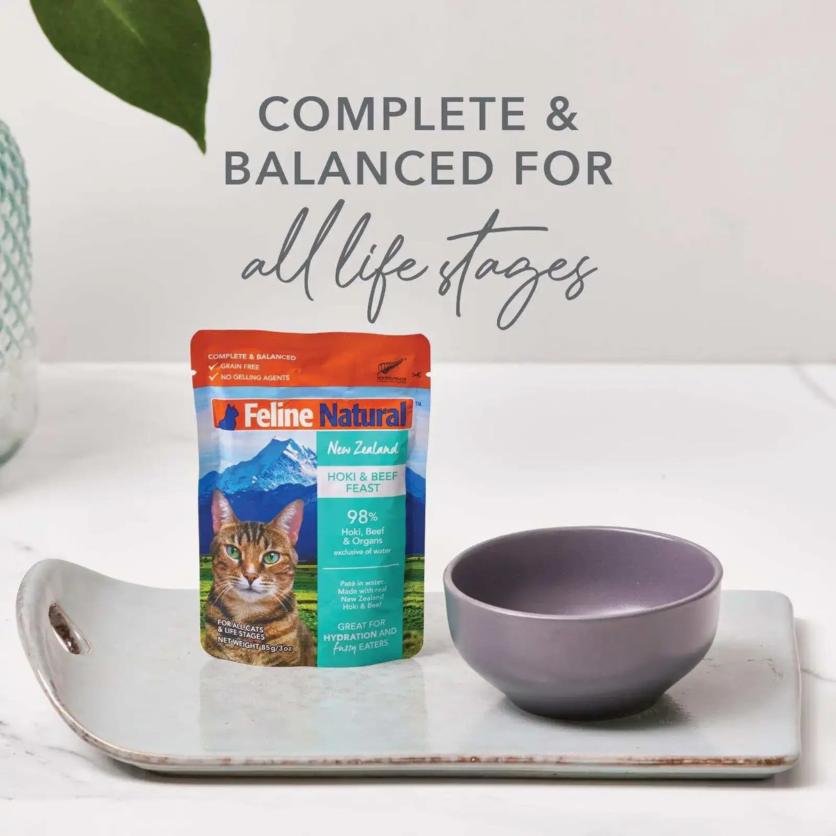 Grain-Free Wet Cat Food Pâté Pouches 12-Pack 3oz Salmon Beef Chicken Variety Single Serve Pet Food Treats High Palatability Hydrating Meal with Sunflower Oil Dried Kelp Daily Nutrition Cat Supplies