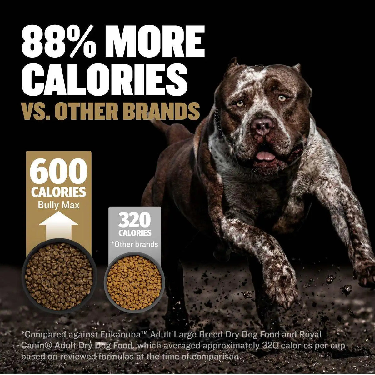 Premium High Calorie Dry Dog Food Chicken Kibble for Weight Gain & Muscle Building 4 lbs All Natural Pet Nutrition with Gut Health Probiotics 31/25 High Protein 600 Calories/Cup Daily Food for Active Dogs