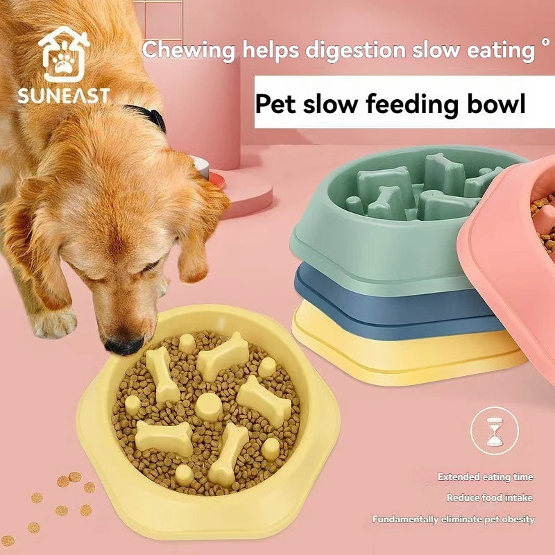 Pet Food Bowl, Environmentally Friendly