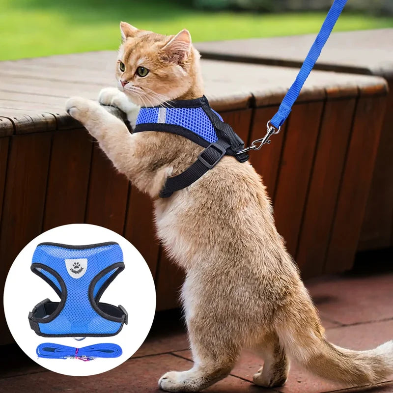 Snout & Pounce™ Reflective Pet Harness