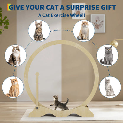 Quiet Cat Exercise Wheel for Indoor Cats – Large 43-48 Inch Cat Treadmill – Sturdy, Detachable Carpet, Supports Fitness and Training – Ideal for Living Room or Bedroom