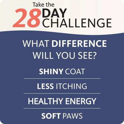 200ml Salmon Fish Oil for Pets, 21 Omega Fatty Acids, Natural Nutritional Supplement for Dogs and Cats