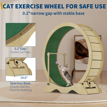 Quiet Cat Exercise Wheel for Indoor Cats – Large 43-48 Inch Cat Treadmill – Sturdy, Detachable Carpet, Supports Fitness and Training – Ideal for Living Room or Bedroom