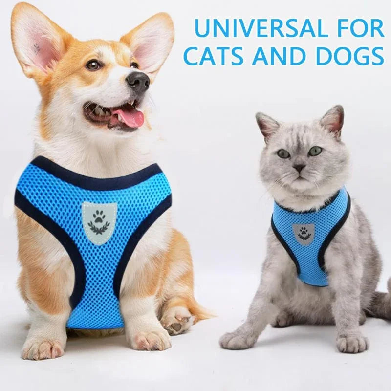 Snout & Pounce™ Reflective Pet Harness