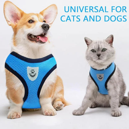 Snout & Pounce™ Reflective Pet Harness