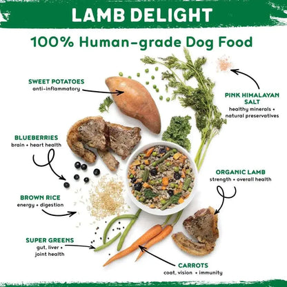 Premium Wet Dog Food Variety Sample Pack Real Meat Lamb Turkey Beef Mixed Flavors 100% Human Grade Ingredients Natural Healthy Pet Nutrition Meal Topper for All Life Stages Puppy Adult