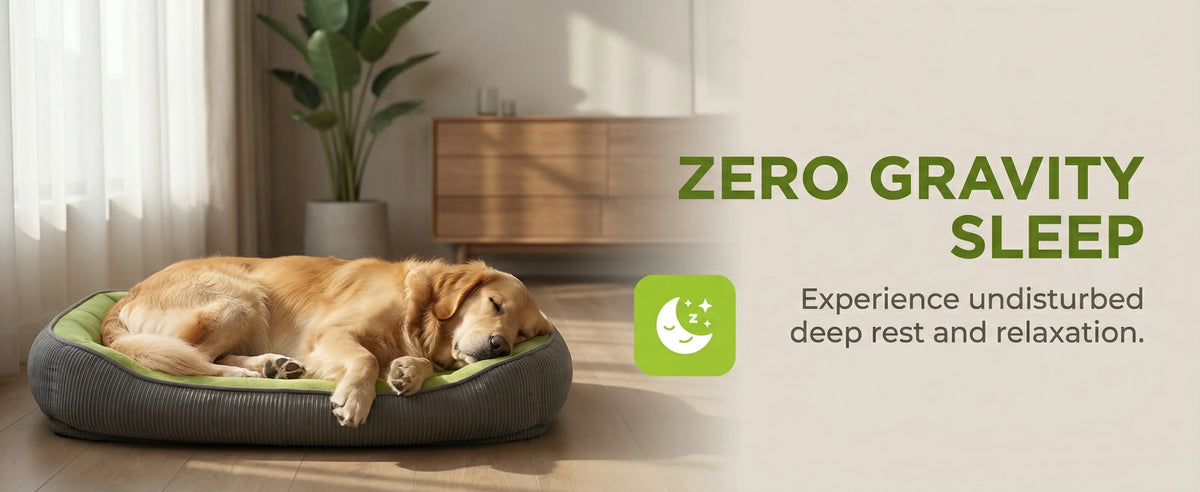 Dog Bed Small Dog Large Pet Beds Cats Dogs Puppy Accessories Breeds Blanket Baskets Big Cushion Pets Products Accessory Mat